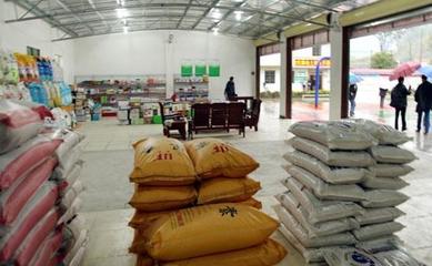 深耕縣域，掘金農(nóng)資 化肥農(nóng)藥種子縣級(jí)代理經(jīng)銷商的機(jī)遇與挑戰(zhàn)分析